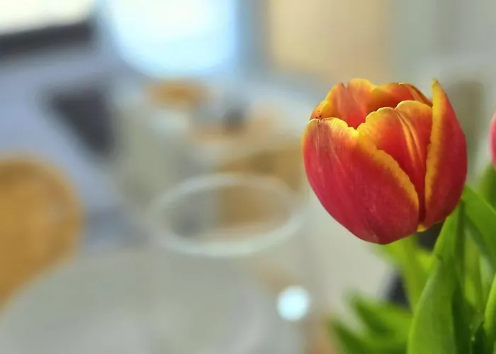 Lato By Triapart Апартаменты